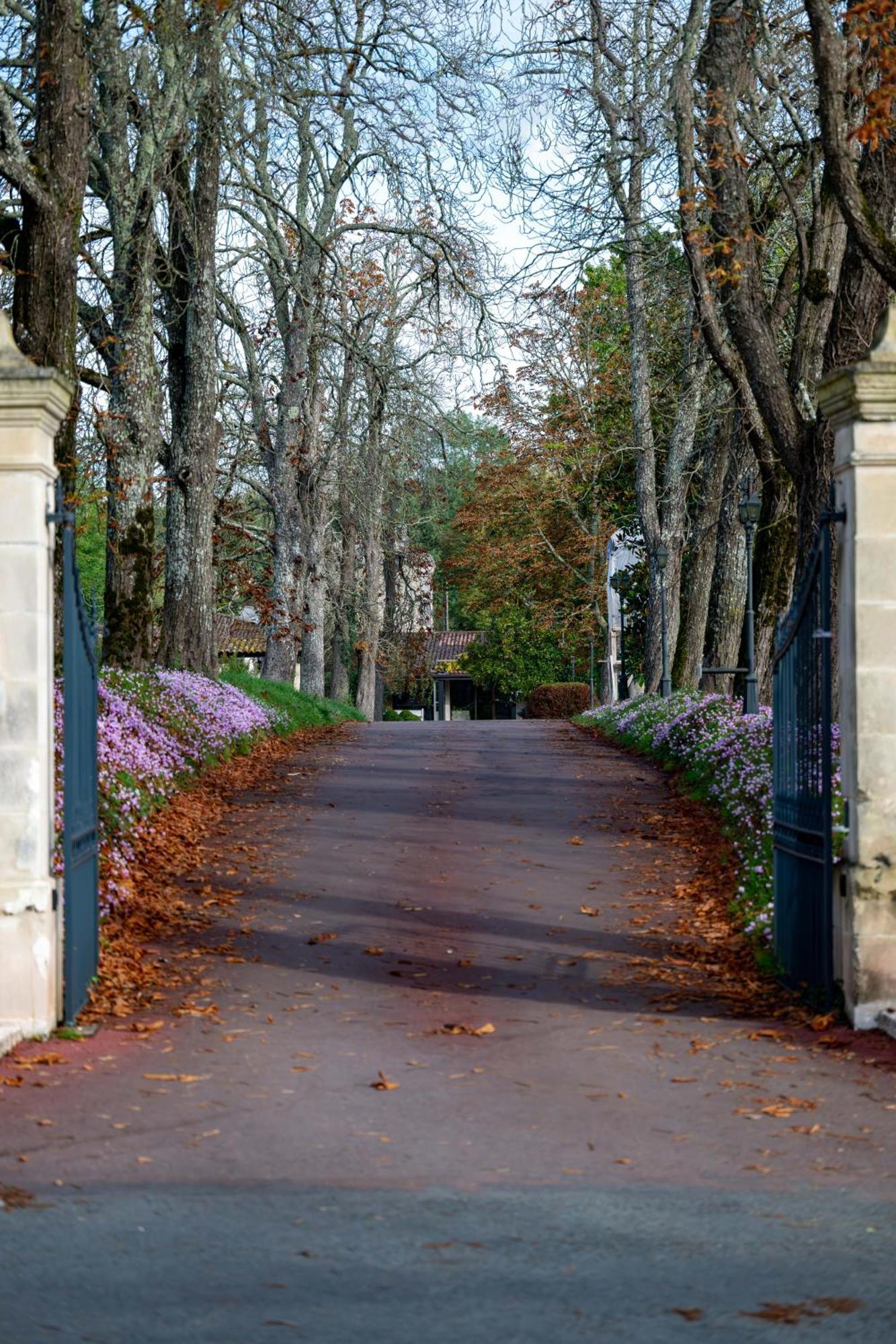 Relais Du Bois Saint Georges - Hotel De Charme Saintes Kültér fotó